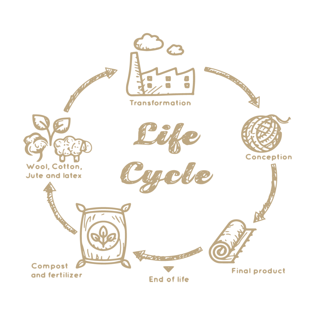 life cycle