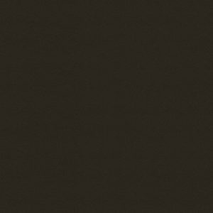 Chocolate ( MCI-123 )