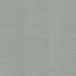 Silver Grey ( MCI-110 )