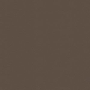 Chocolate ( MCI-123 )